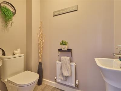 Picture 5